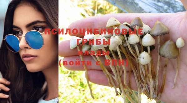 меф Снежногорск