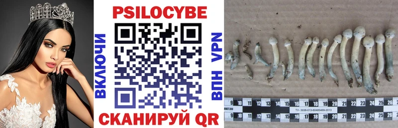 Псилоцибиновые грибы мицелий Чусовой